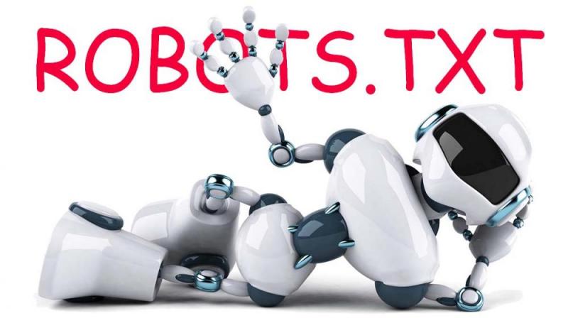 Что такое robots.txt и зачем он нужен в Омске